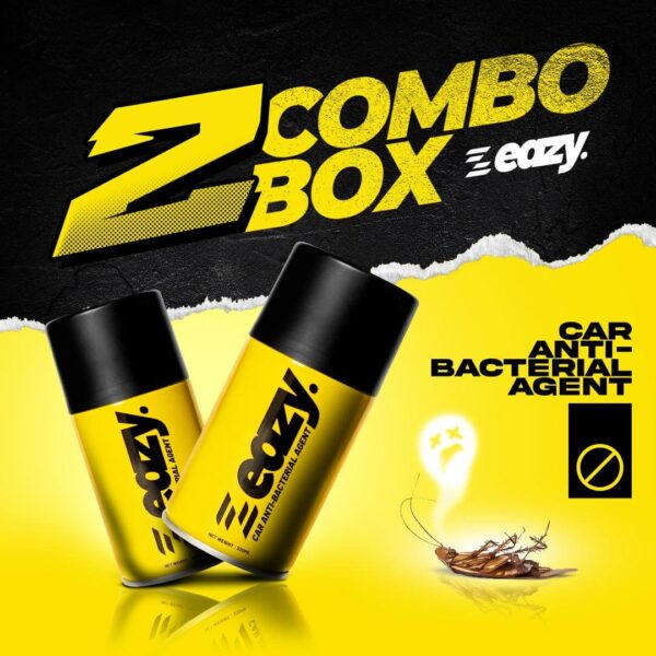 2 Kotak EAZY